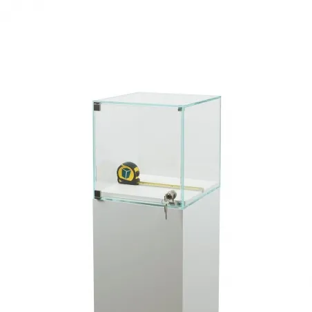 Glasvitrine mit Tür