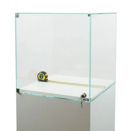 Glasvitrine mit Tür