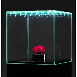 Glashaube mit integrierter LED-Beleuchtung