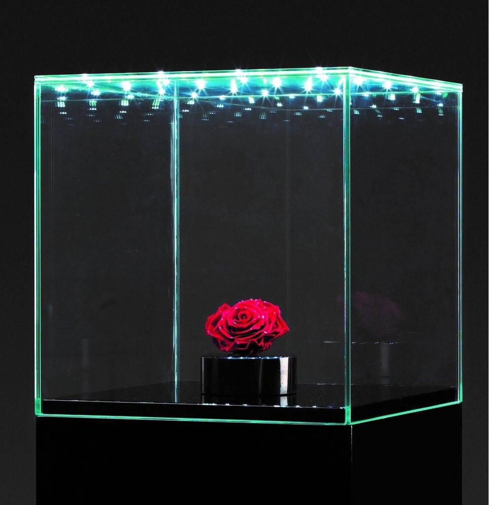 Glasvitrine mit integrierter LED-Beleuchtung